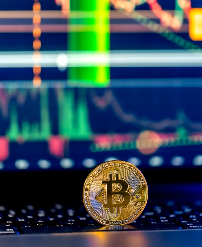 Kradivex Trading Informationen
